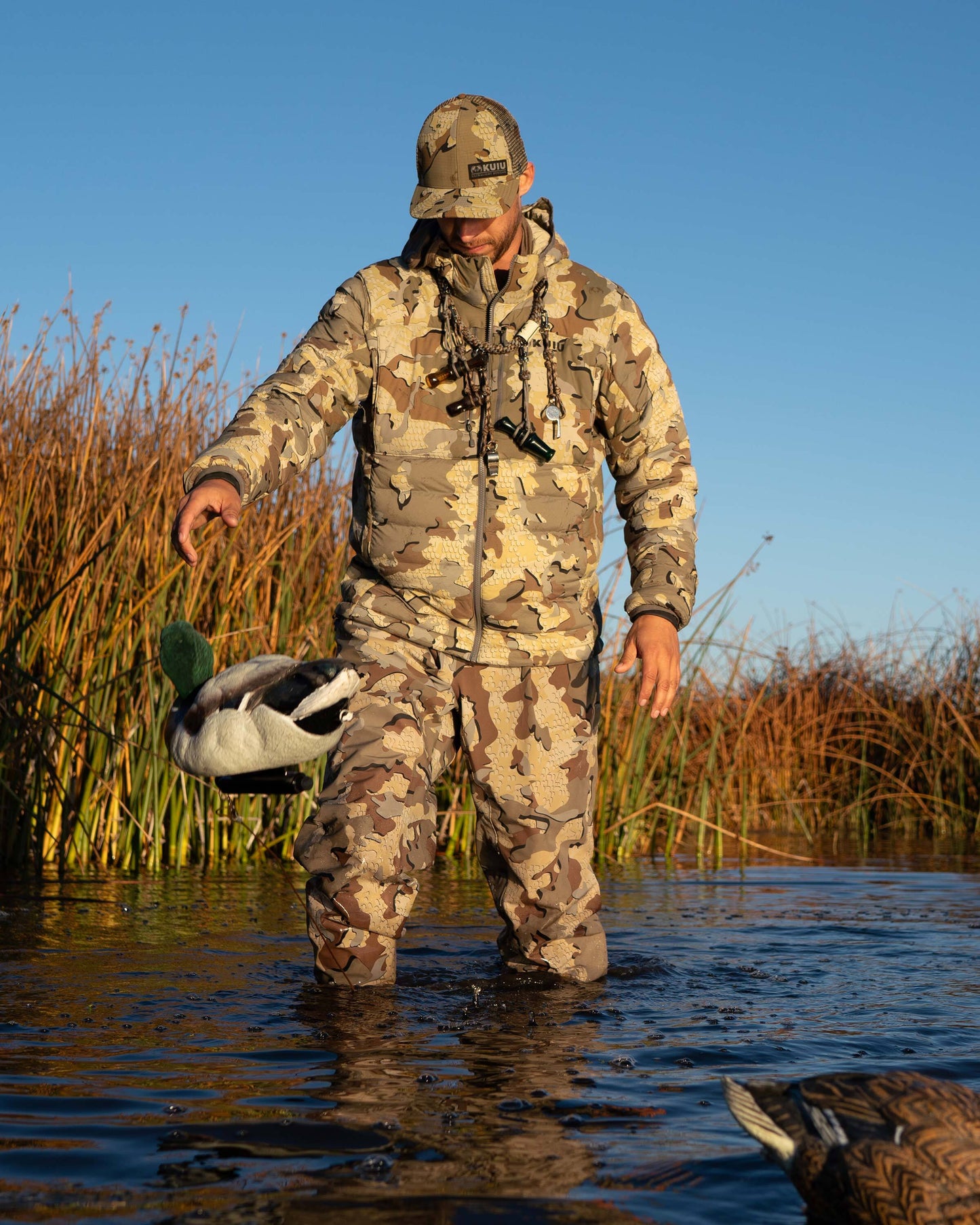 Flyway Insulated Hooded Jacket