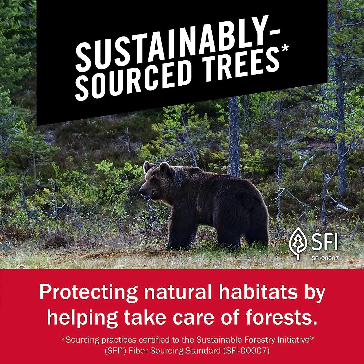 Paper Towels, 6 Double Rolls = 12 Regular Rolls